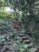 IMG_5837.jpeg