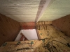 IMG_5845.jpeg