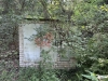 IMG_5869.jpeg