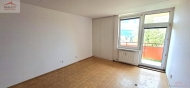 Pron�jem bytu 1+kk, 0 m2, OV, Vala�sk� Mezi���� (okres Vset�n), ul. Lu�n�