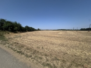 Prodej pozemku , zahrada, O�echov (okres Brno-venkov)