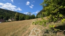 PXL_20260728_082735857.jpg