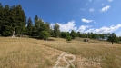 PXL_20260728_082945030.jpg