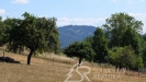 PXL_20260728_083034289.jpg