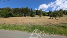 PXL_20260728_083200559.jpg