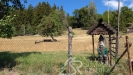 PXL_20260728_083239500.jpg