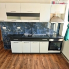 Pron�jem bytu 2+1, 70 m2, OV, D���n, D���n II-Nov� M�sto, ul. Kamenick�
