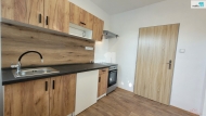 Pron�jem bytu 1+1, 32 m2, OV, T�nec nad Labem (okres Kol�n), ul. L�ovick�