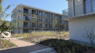 Pron�jem bytu 2+kk, 0 m2, DV, Brno, �idenice (okres Brno-m�sto)