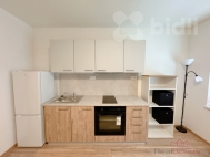 Pron�jem bytu 1+1, 40 m2, OV, Pardubice, B�l� P�edm�st�, ul. �trossova