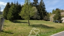 PXL_20260505_092035969.jpg