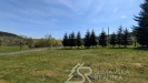 PXL_20260505_092218391.jpg
