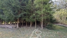 PXL_20260505_092157777.jpg
