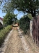 IMG_6872.jpeg