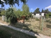 IMG_6876.jpeg