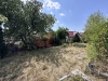 IMG_6884.jpeg