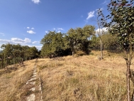 Prodej pozemku , zahrada, Samoti�ky (okres Olomouc)