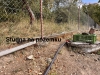 IMG_9552.jpeg