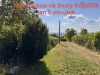 IMG_9572 (1).jpeg