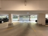 IMG_2104.jpeg