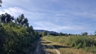 Prodej pozemku , ur�en� k v�stavb� RD, Doln� V�stonice (okres B�eclav)