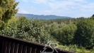 PXL_20260811_111805183.MP.jpg