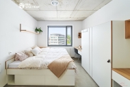 Pron�jem bytu 1+kk, 24 m2, OV, Brno, Trnit� (okres Brno-m�sto), ul. Dornych