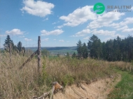 Prodej pozemku , les, Spe�ov (okres Blansko)