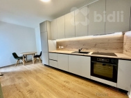 Pron�jem bytu 1+kk, 47 m2, OV, Brno, Star� Brno (okres Brno-m�sto), ul. Ghegova
