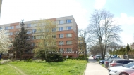 Pron�jem bytu 2+kk, 50 m2, OV, Ben�tky nad Jizerou, Ben�tky nad Jizerou II (okres Mlad� Boleslav), ul. Platanov�
