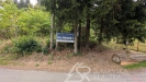 PXL_20260806_124446561.MP.jpg