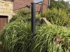 IMG_7761.jpeg