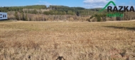 Prodej pozemku , zem�d�lsk� p�da, Hal�e, Svobodka (okres Tachov)