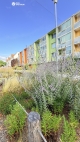 Pron�jem bytu 1+1, 32 m2, OV, Brno, Kom�n (okres Brno-m�sto), ul. Absolonova