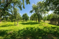 Prodej pozemku , zem�d�lsk� p�da, Podom� (okres Vy�kov) - exkluzivn�