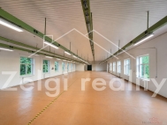 Pron�jem skladovac�ch prostor, Str�nice (okres Hodon�n)