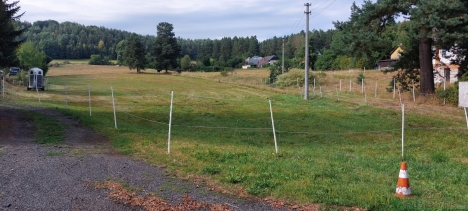20260819_163017.jpg