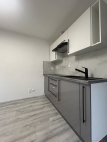 Pron�jem bytu 1+kk, 32 m2, OV, Praha 10, Stra�nice, ul. Kr�lovick�
