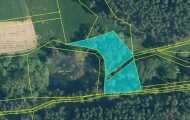Prodej pozemku , trval� travn� porost, Bor, Damnov (okres Tachov) - exkluzivn�