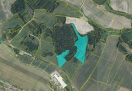 Prodej pozemku 54 908 m2, trval� travn� porost, Jind�ich�v Hradec, D�bol�n