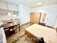 Pron�jem bytu 1+kk, 22 m2, OV, Brno, �ern� Pole (okres Brno-m�sto), ul. Lidick� - exkluzivn�