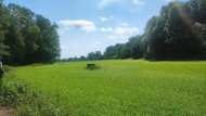 Prodej pozemku , ur�en� k v�stavb� RD, Vy�kov, Opatovice - exkluzivn�