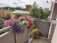 Pron�jem bytu 3+1, 64 m2, OV, Fren�t�t pod Radho�t�m (okres Nov� Ji��n), ul. �kolsk� �tvr�