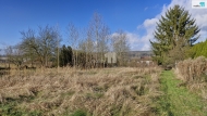 Prodej pozemku , trval� travn� porost, Dalovice (okres Karlovy Vary)