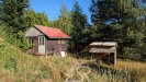 PXL_20260906_150945242.MP.jpg