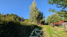PXL_20260906_150356265.MP.jpg