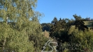 PXL_20260906_151046900.MP.jpg