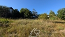 PXL_20260906_151115760.MP.jpg
