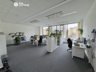Pron�jem kancel���, Brno, Star� Brno (okres Brno-m�sto)