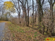 Prodej pozemku , ur�en� k v�stavb� RD, Rous�nov, �echyn� (okres Vy�kov)
